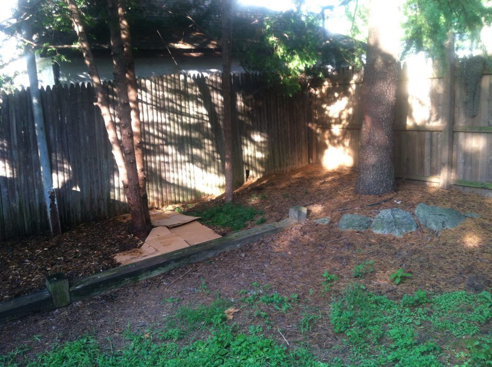 photo 1012297_10151517669027285_1635796980_n.jpg